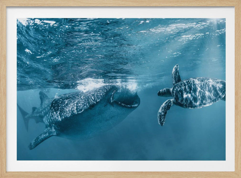 Once at the ocean | Poster