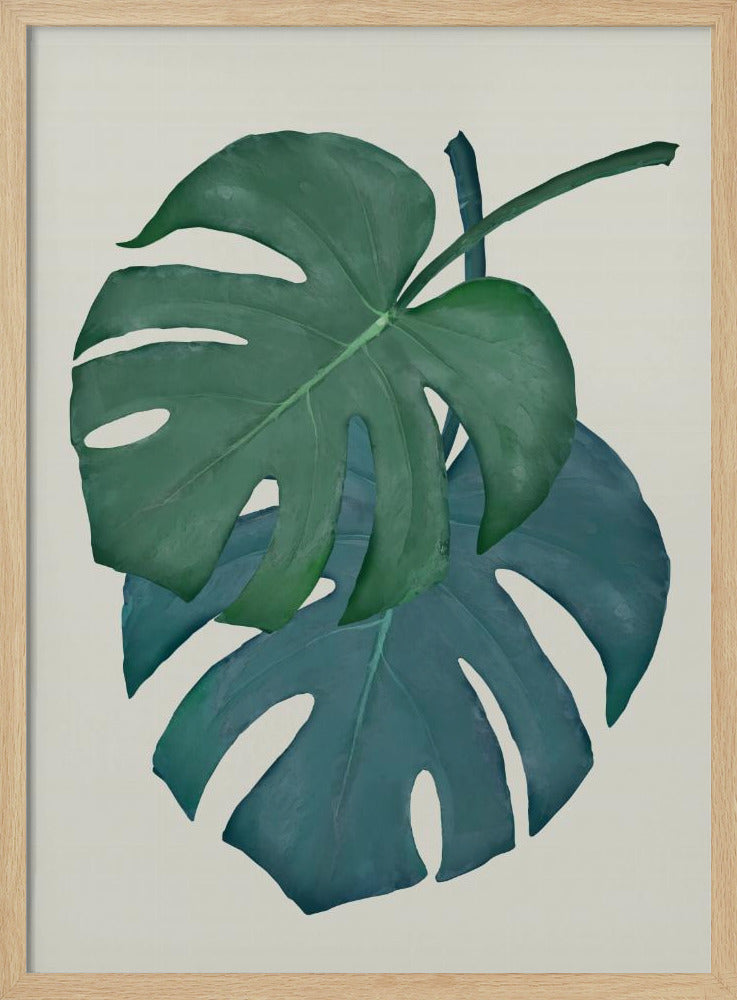 Monstera Aqua 06 | Poster