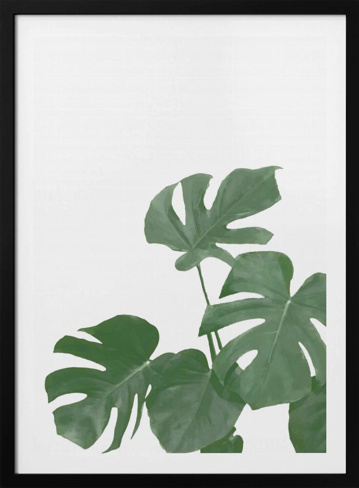 Monstera Aqua 04 | Poster