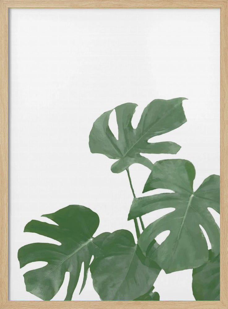 Monstera Aqua 04 | Poster