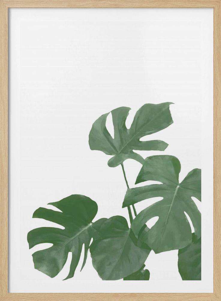 Monstera Aqua 04 | Poster
