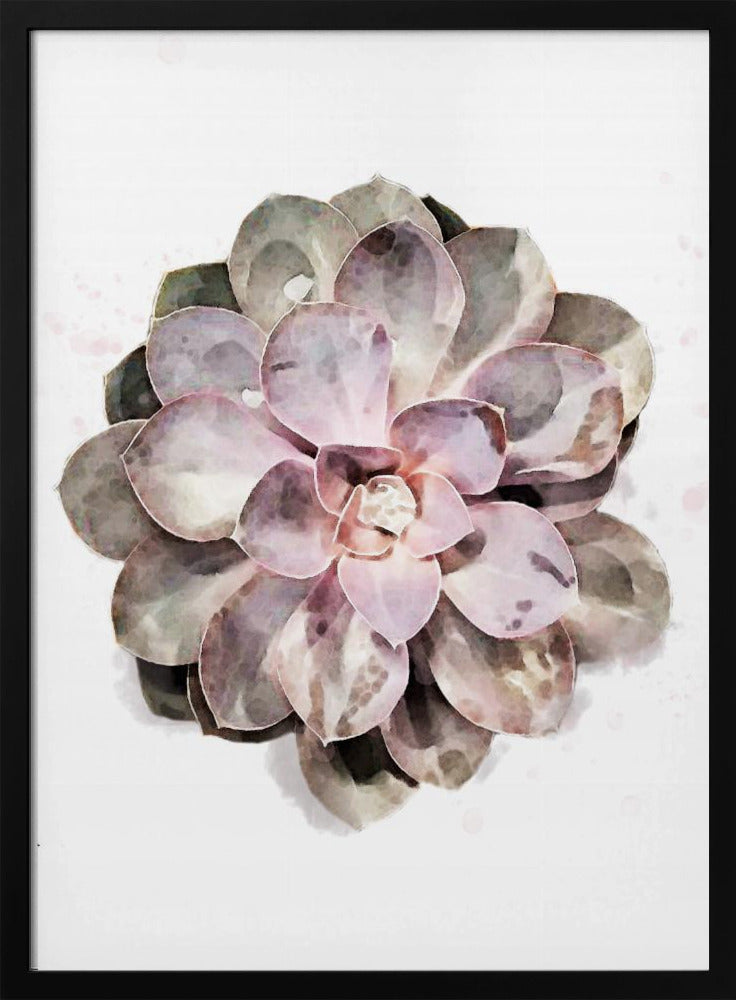 Succulent 01 | Poster