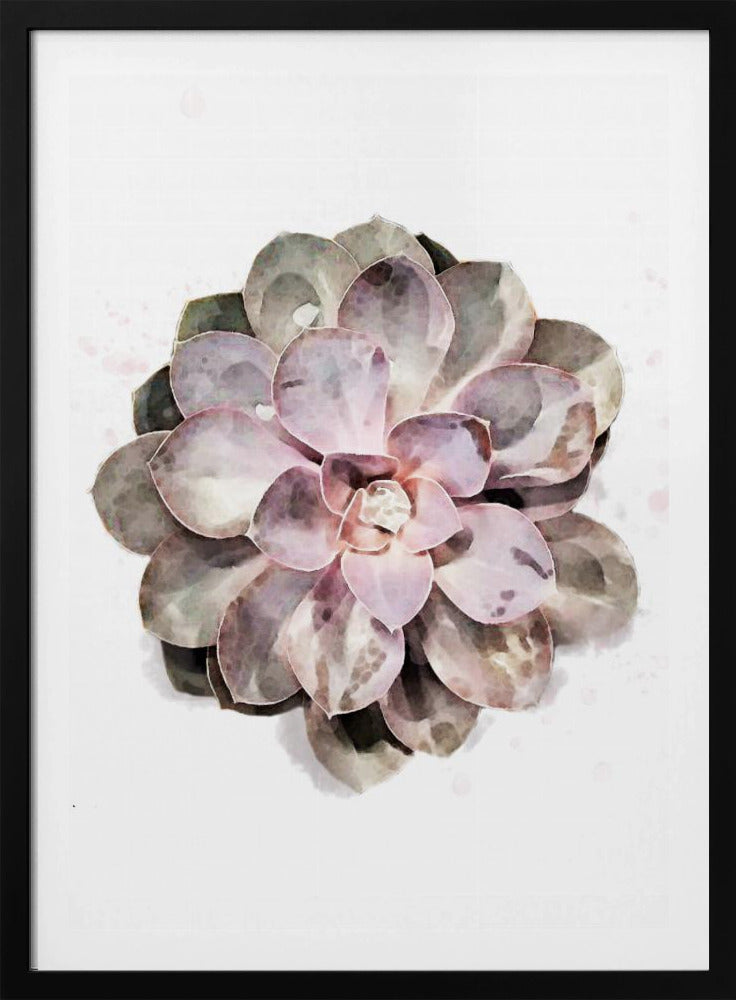 Succulent 01 | Poster