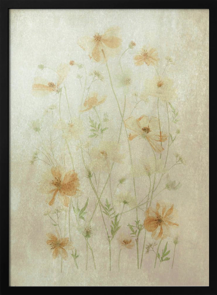 Yellow Cosmos | Poster