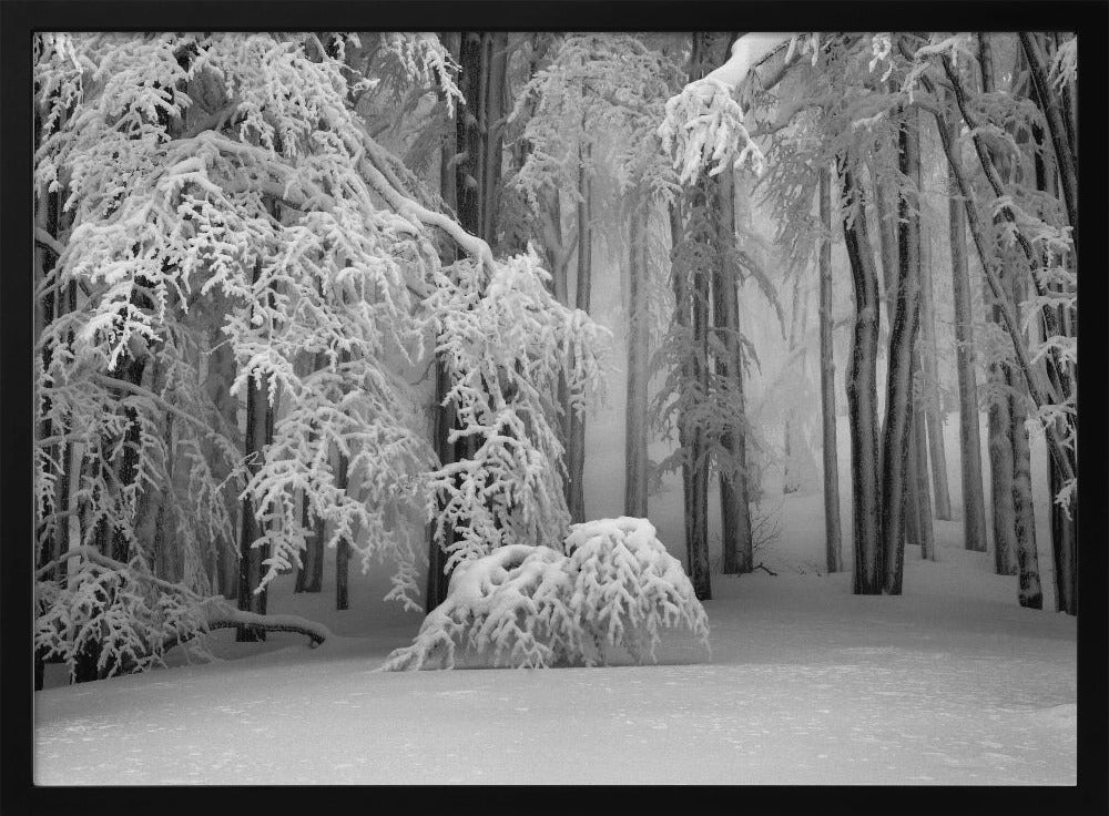 Perfect Winter | Poster