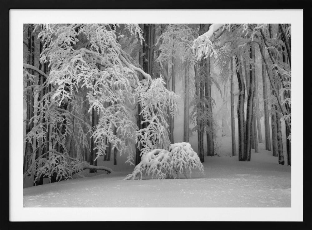 Perfect Winter | Poster