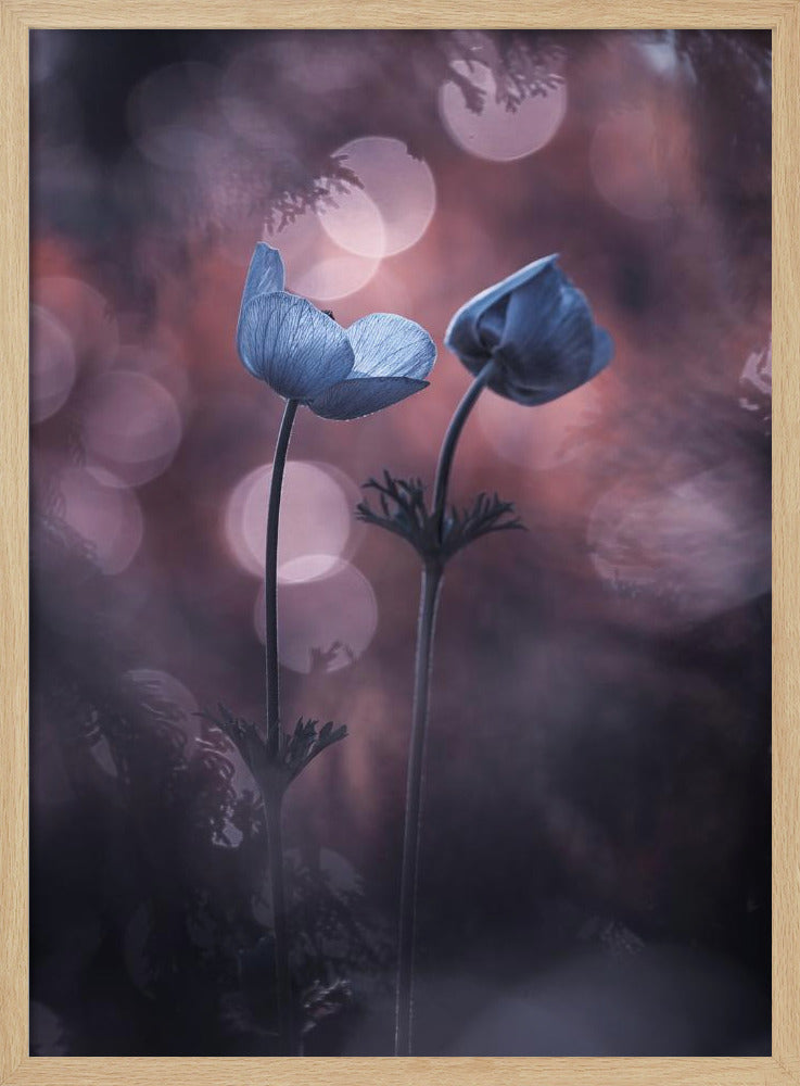 Why does my heart feel so bad | Poster