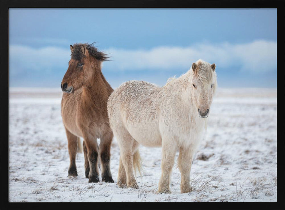 B R O T H E R S | Poster