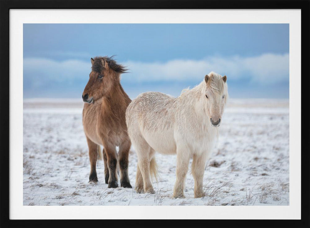 B R O T H E R S | Poster