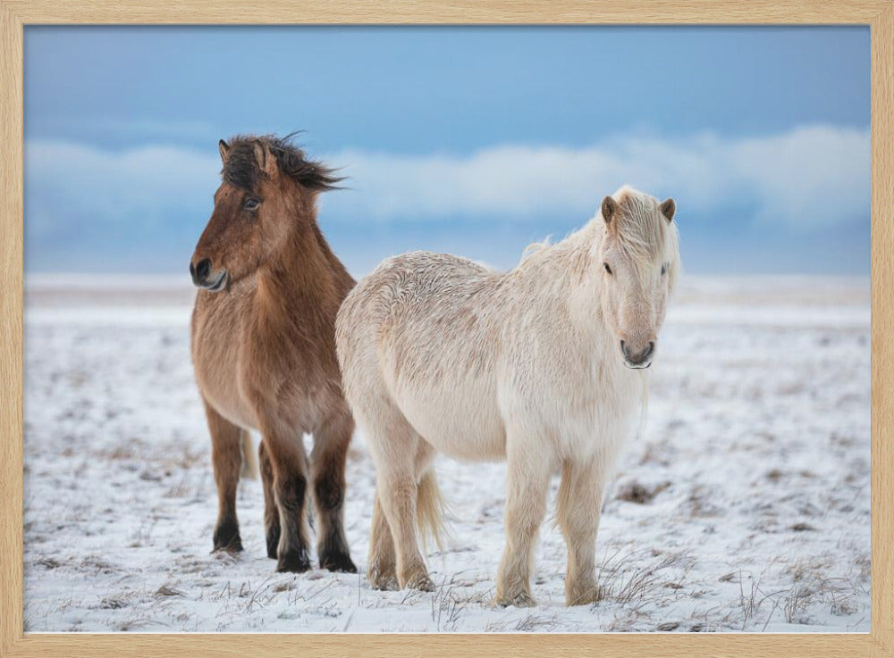 B R O T H E R S | Poster