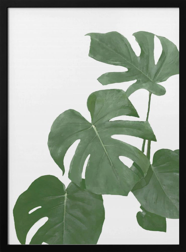 Monstera Aqua 03 | Poster