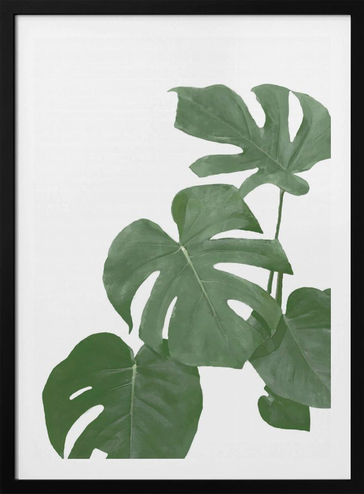 Monstera Aqua 03 | Poster