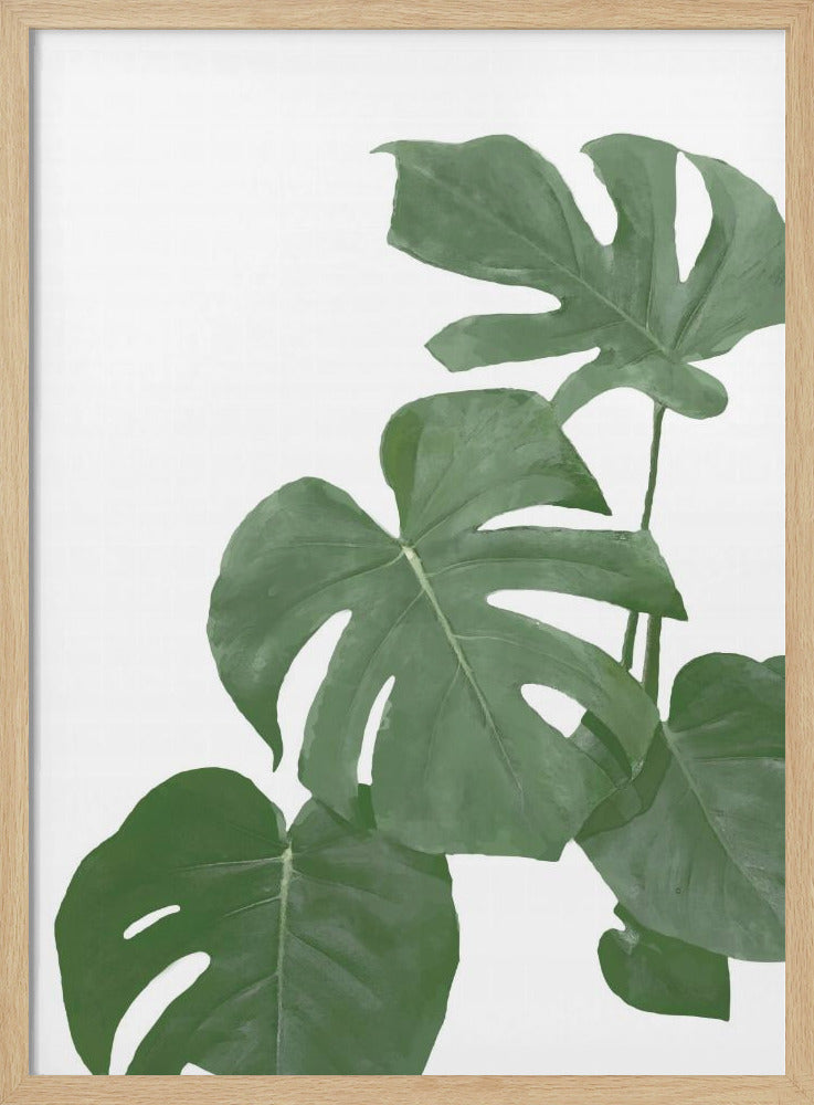 Monstera Aqua 03 | Poster