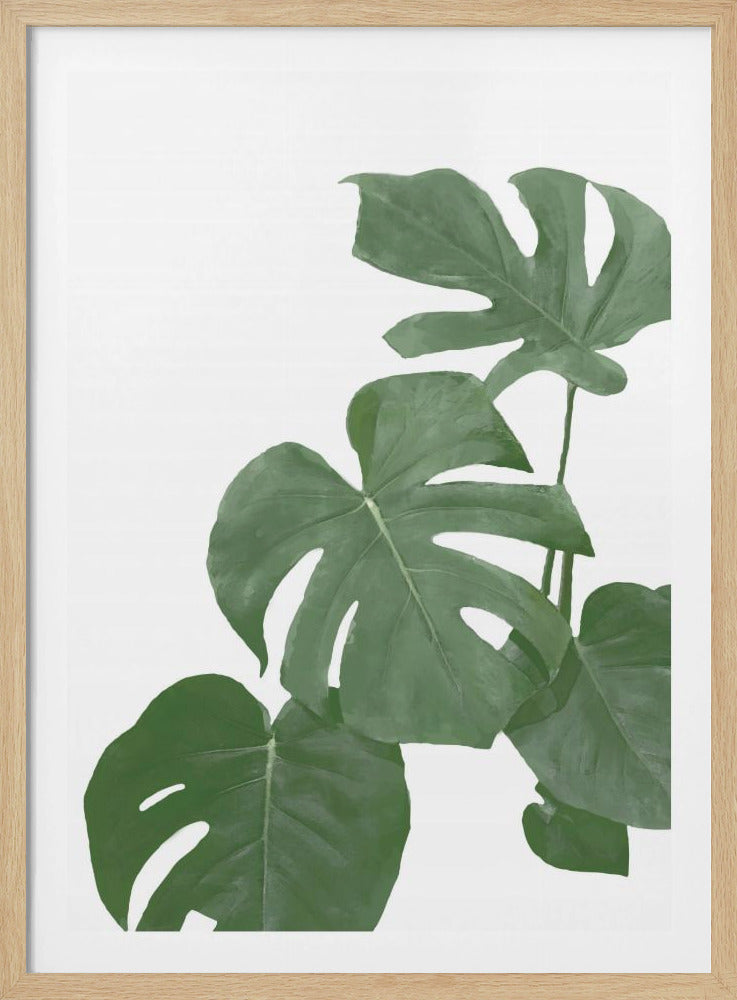 Monstera Aqua 03 | Poster