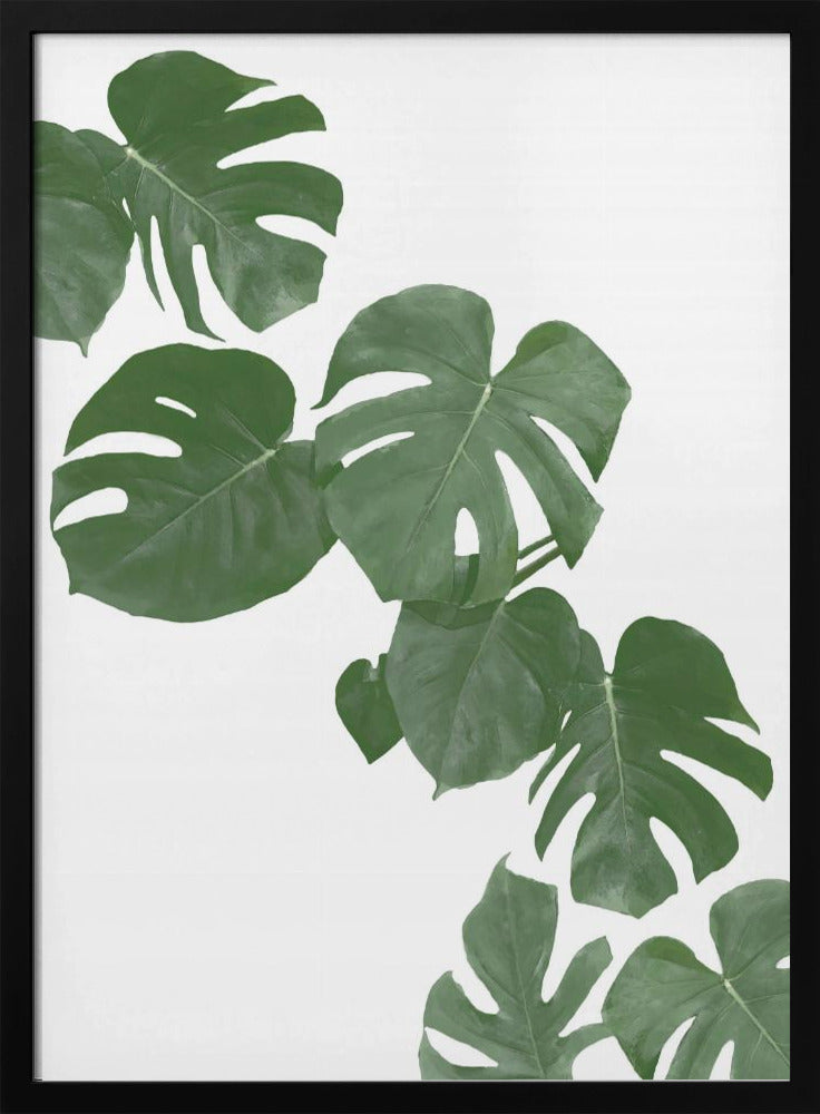 Monstera Aqua 02 | Poster