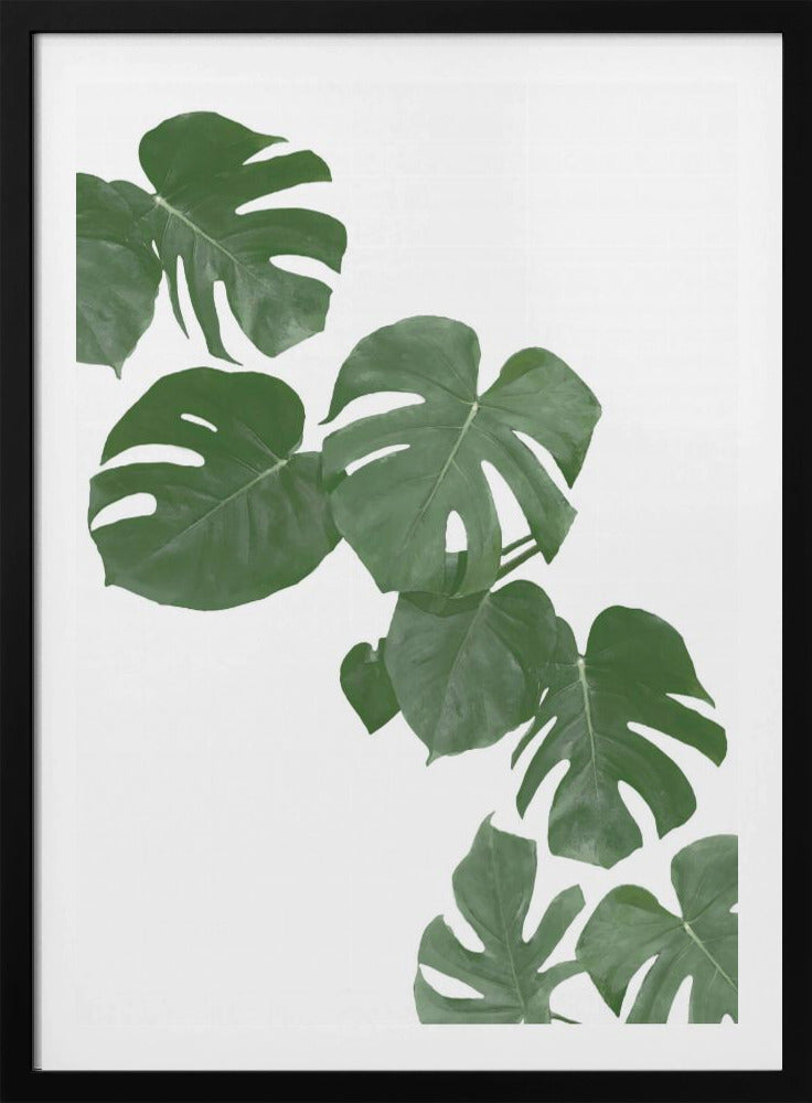 Monstera Aqua 02 | Poster
