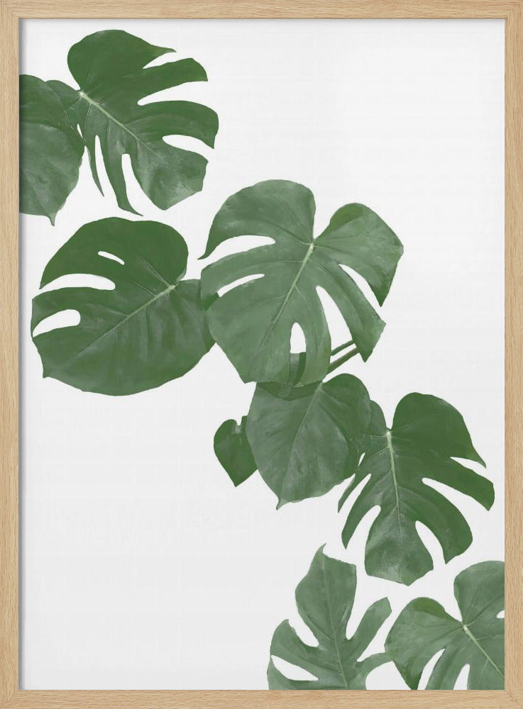 Monstera Aqua 02 | Poster