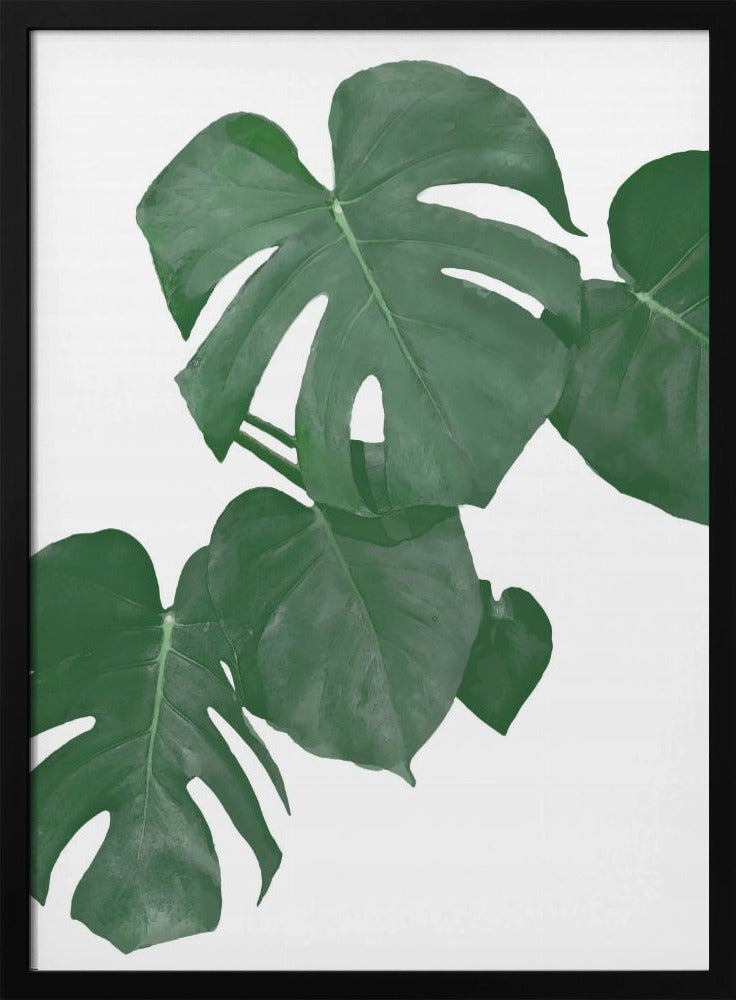 Monstera Aqua 01 | Poster