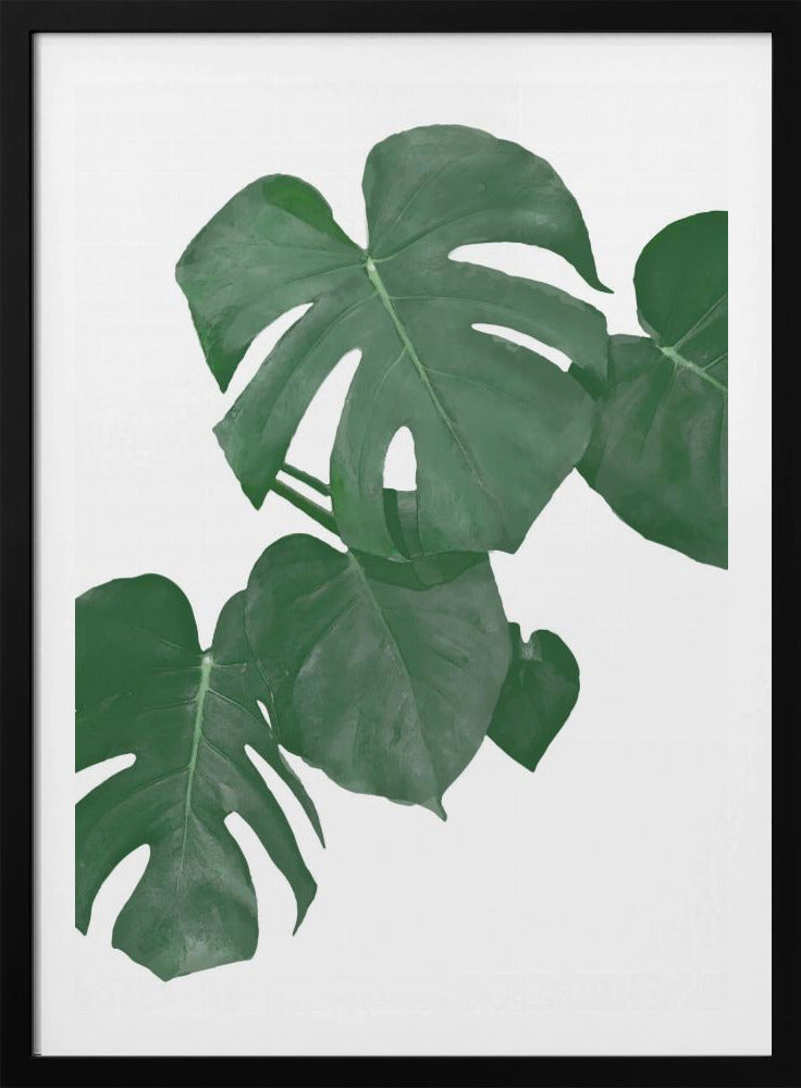 Monstera Aqua 01 | Poster