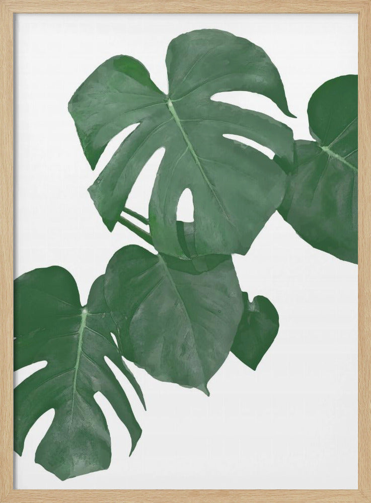 Monstera Aqua 01 | Poster
