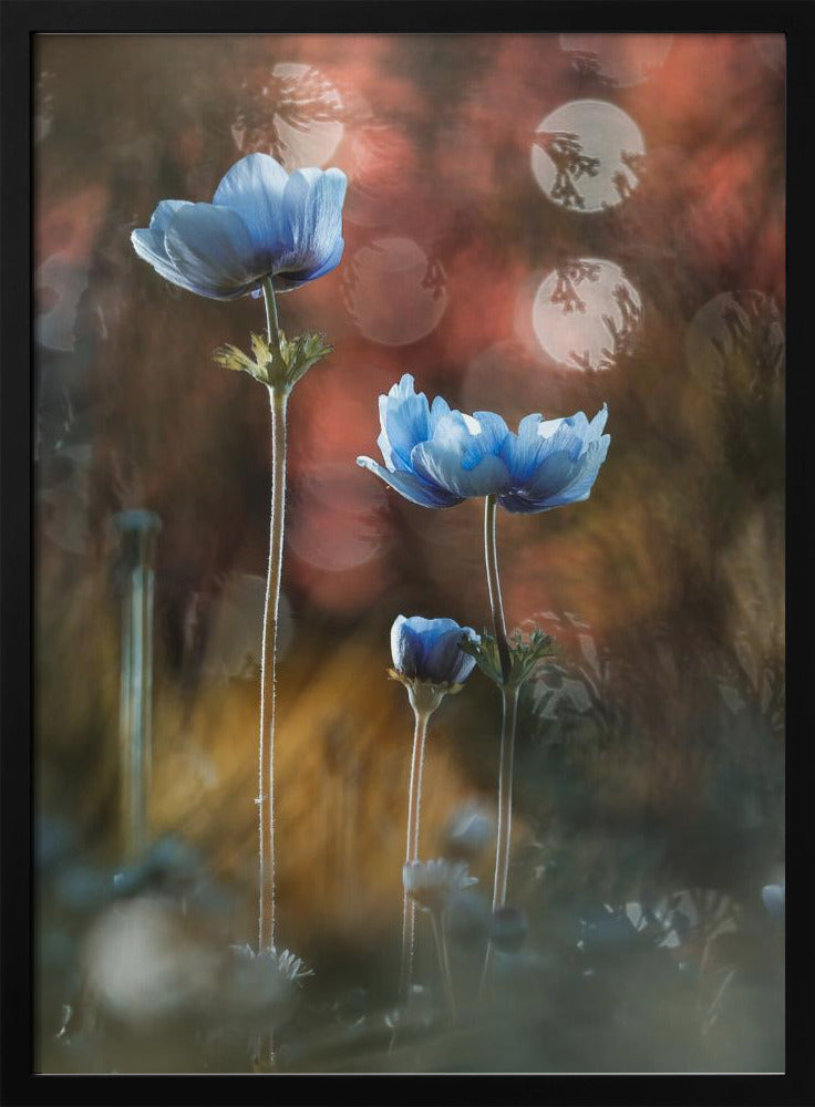 A riot of colors in a grey and dreary world | Poster