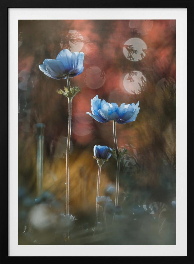 A riot of colors in a grey and dreary world | Poster