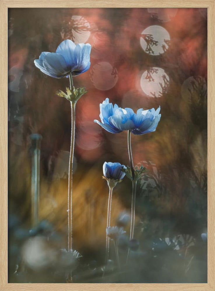 A riot of colors in a grey and dreary world | Poster