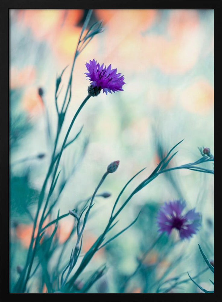 Colors game 2 | Poster