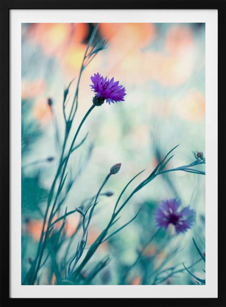 Colors game 2 | Poster