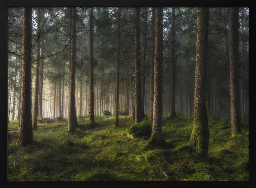 A sense of spring | Poster