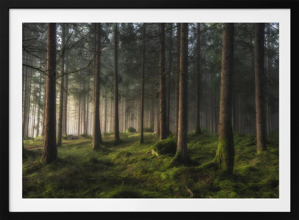 A sense of spring | Poster