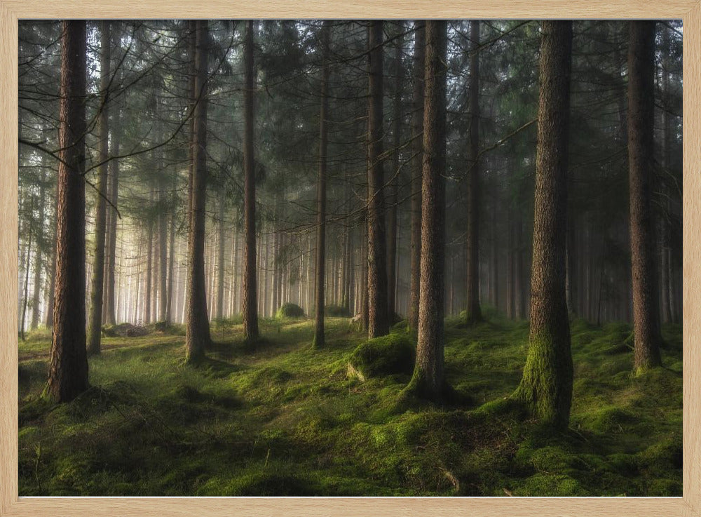 A sense of spring | Poster