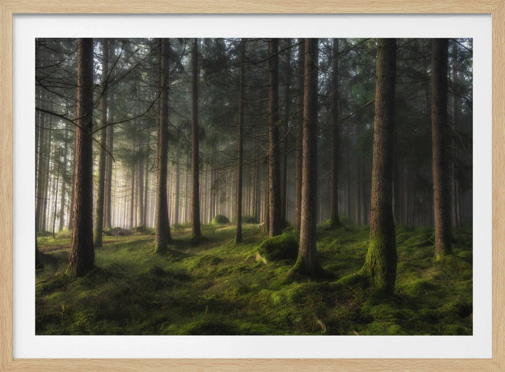 A sense of spring | Poster