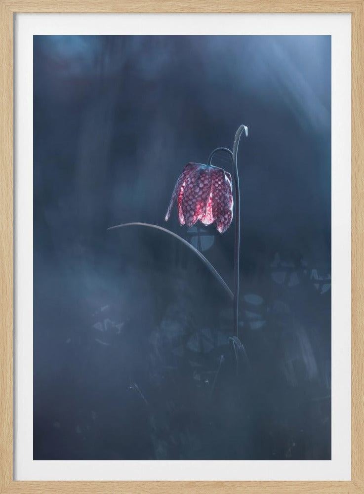 Ephemeral Fantasy | Poster