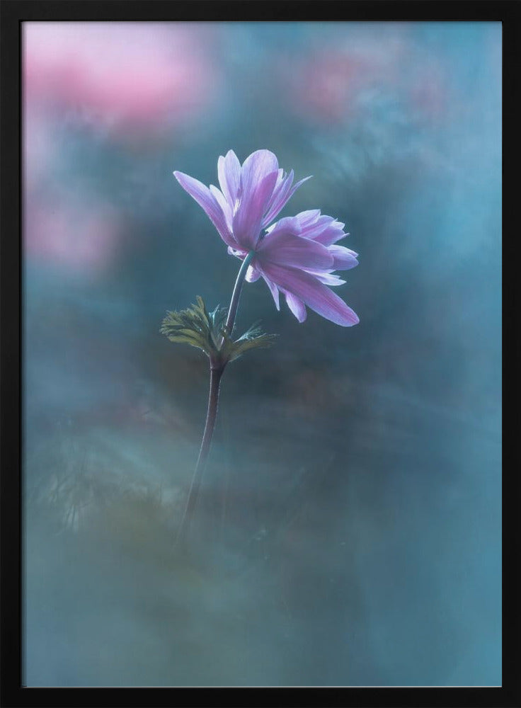 Never ending days | Poster