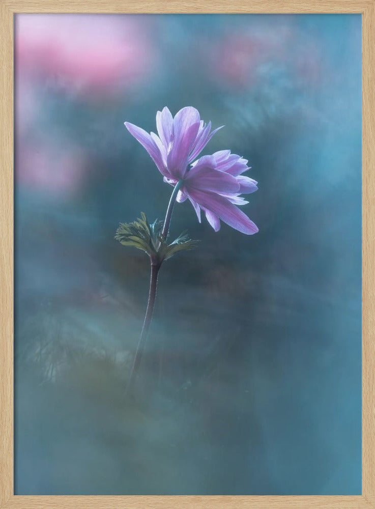 Never ending days | Poster