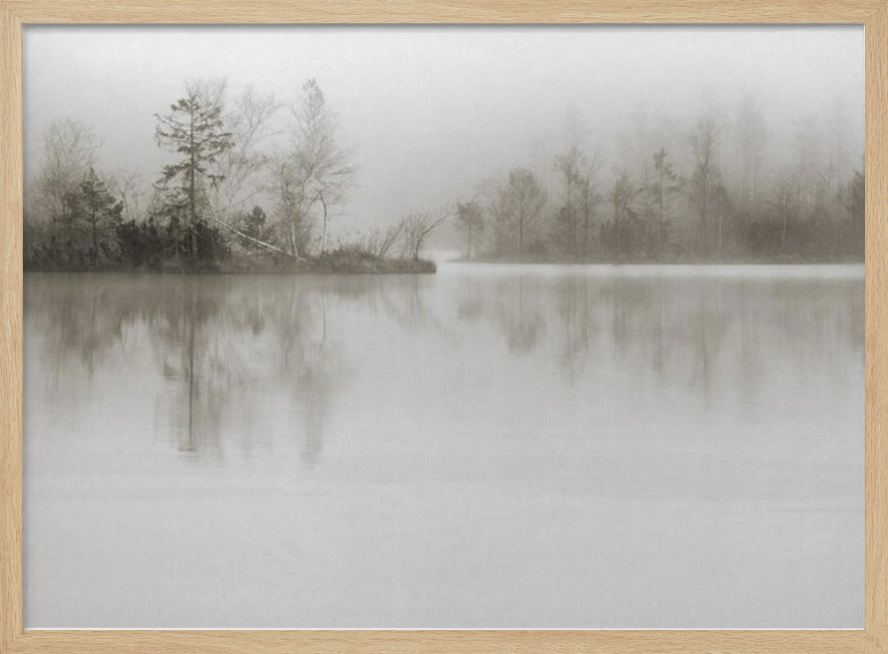 Dissolution | Poster