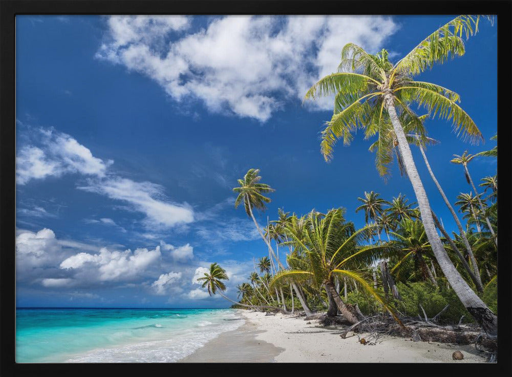 Desert Island | Poster