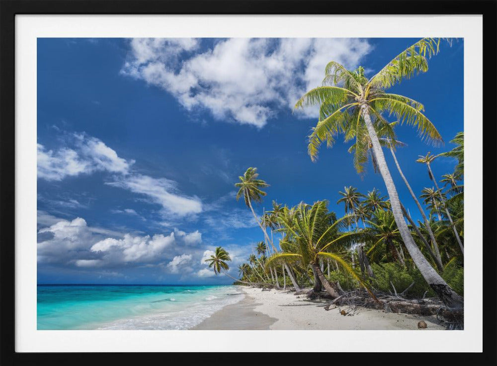 Desert Island | Poster