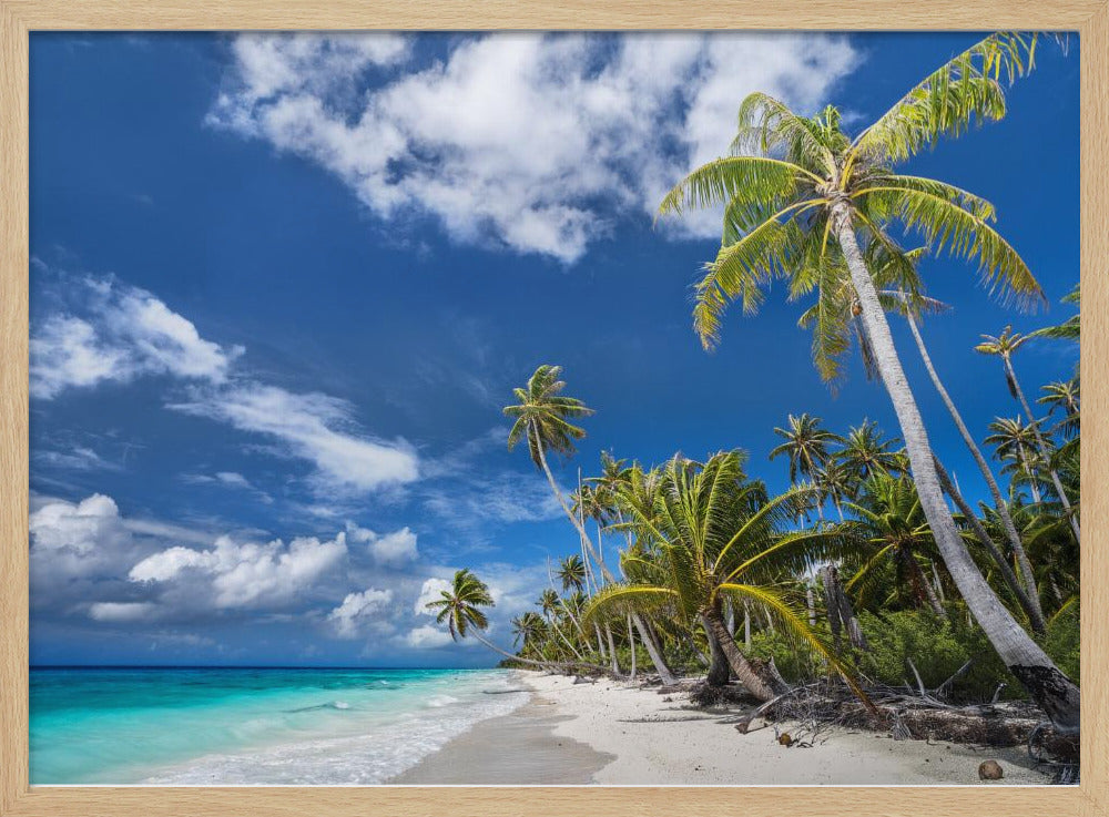 Desert Island | Poster