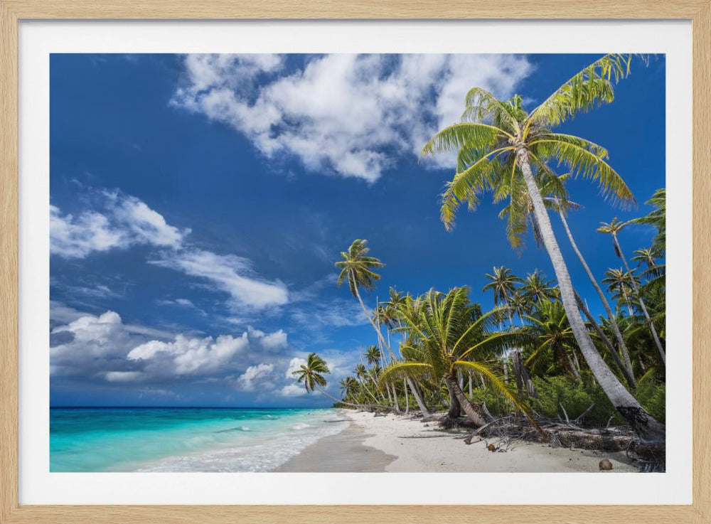 Desert Island | Poster