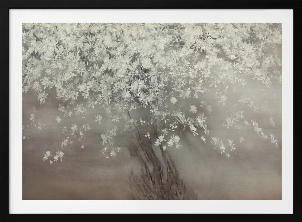 Stars of spring | Poster