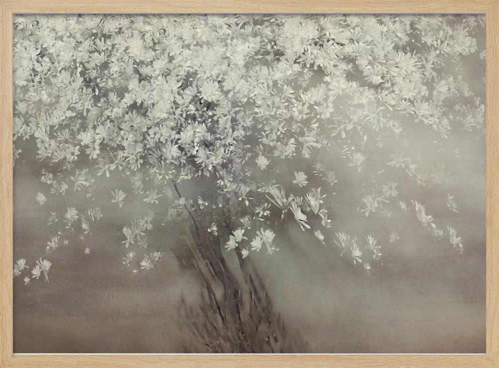 Stars of spring | Poster