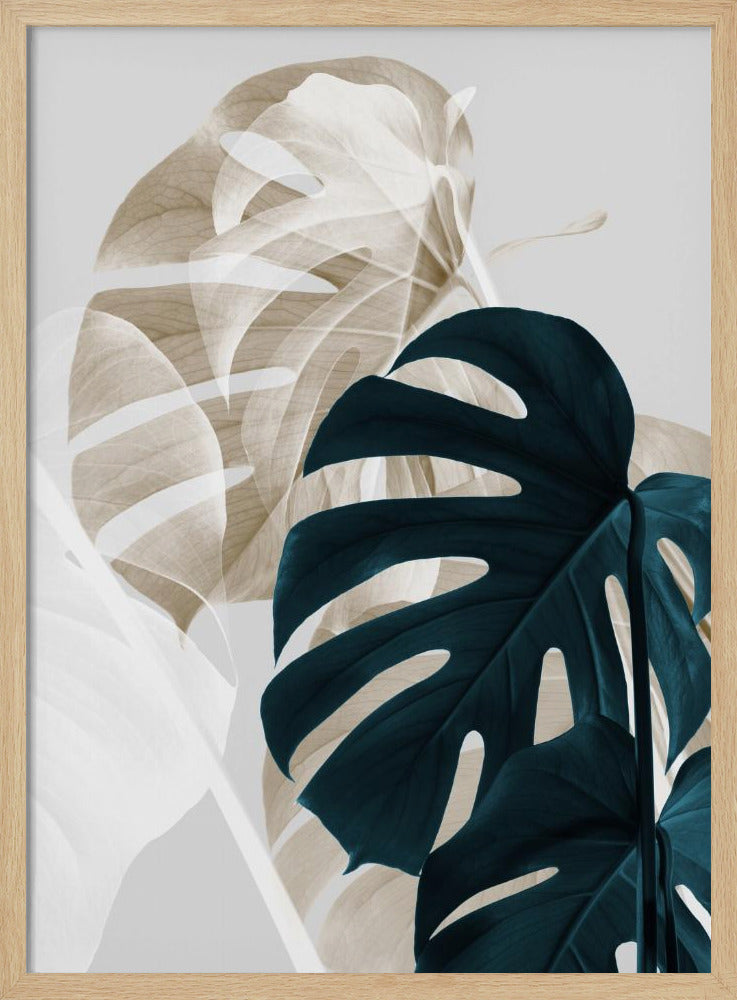 Monstera Creative 05 | Poster