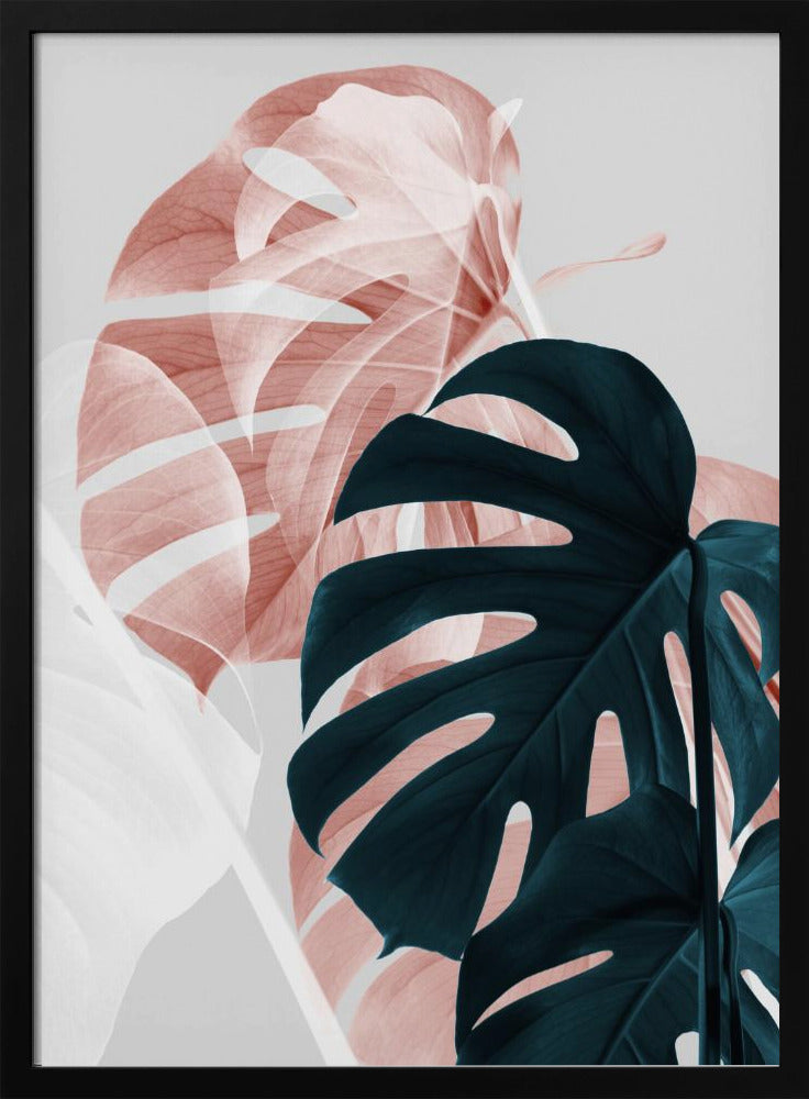 Monstera Creative 09 | Poster