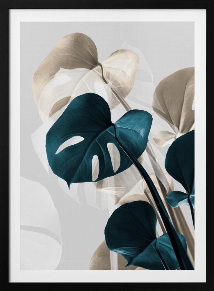Monstera Creative 10 | Poster
