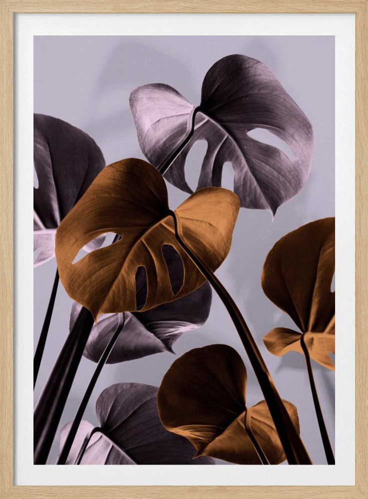 Monstera Purple 01 | Poster