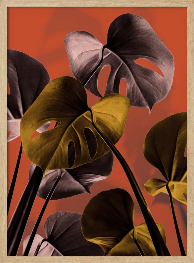 Monstera Orange 01 | Poster