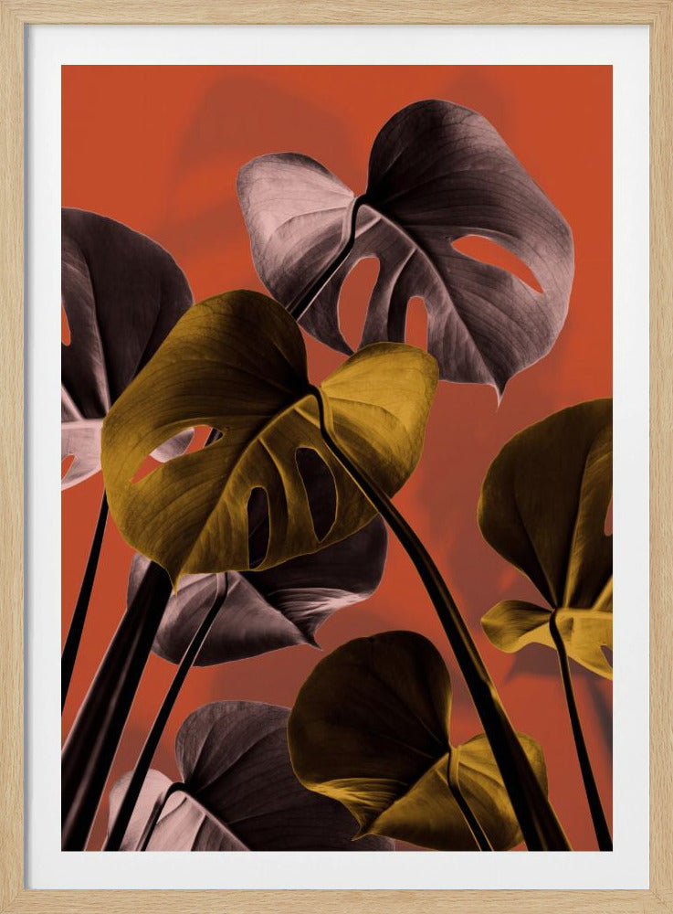 Monstera Orange 01 | Poster