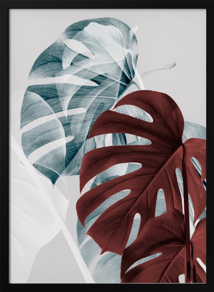 Monstera Creative 18 | Poster